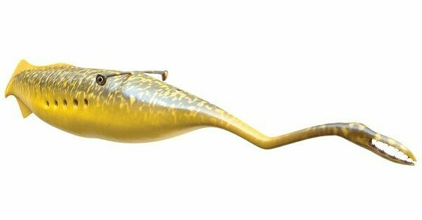 This up to date reconstruction of the Tully Monster from The Field Museum in Chicago